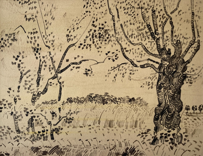 ohne Titel (Weidenlandschaft)